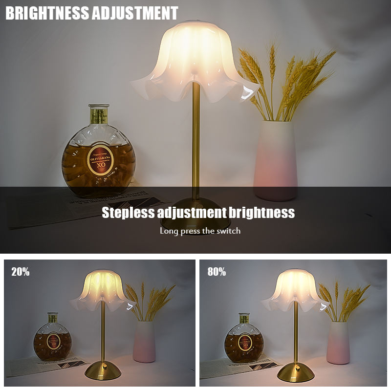Modern LED Table Lamp, Dimmabl - Bedroom Lighting Decor Ideas 评论和价格