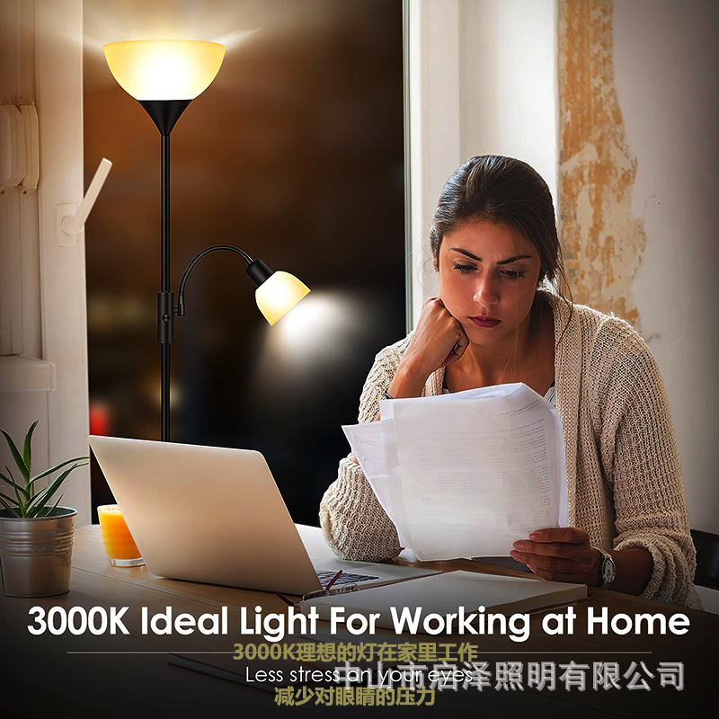 Living room, bedroom, study, s - Lighting Decor In Room 评论和价格