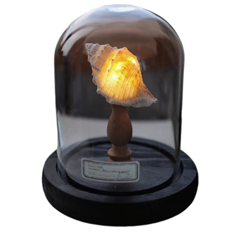 Exquisite-DIY Night Light Mini - Lighting Home Decor Ideas 评论和价格