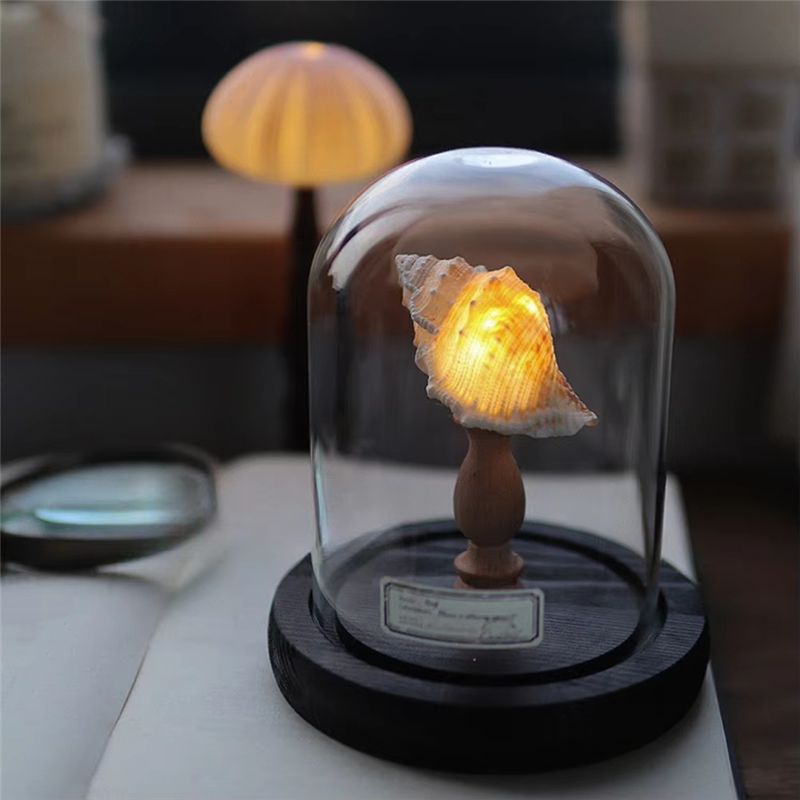 Exquisite-DIY Night Light Mini - Lighting Home Decor Ideas 评论和价格