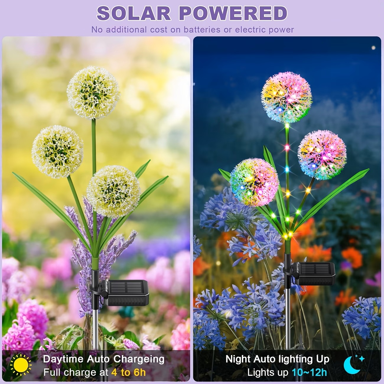 4PC 3 Head Solar LED Dandelion - Fairy Light Curtain 评论和价格